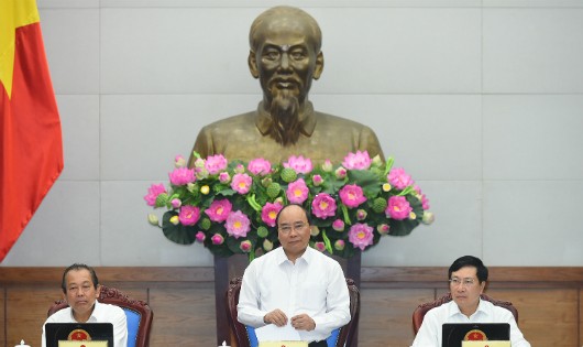 Thủ tướng yêu cầu tìm 'đầu ra' cho nông sản, đừng để như thịt lợn