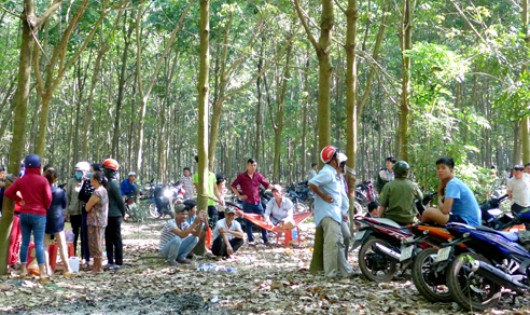 Thi thể bé gái được phát hiện dưới giếng hoang trong lô cao su. Ảnh: Văn Trăm.