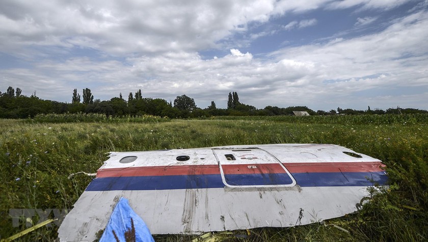 Một phần xác máy bay MH17 trên cánh đồng gần làng Grabove, vùng Donetsk, miền đông Ukraine ngày 20/7/2014. (Ảnh: AFP/TTXVN)