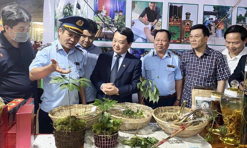 Đại biểu tham quan phiên chợ sâm Ngọc Linh lần thứ 1.
