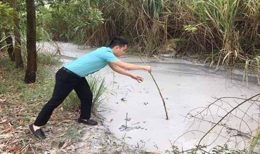 Công ty TNHH Minh Thức gây ô nhiễm môi trường nghiêm trọng từ lâu nay nhưng vẫn không bị xử lý.