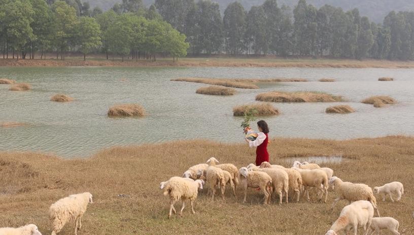 Vẻ đẹp nguyên sơ ở Đầm Cút tại xã Gia Hưng huyện Gia Viễn, tỉnh Ninh Bình