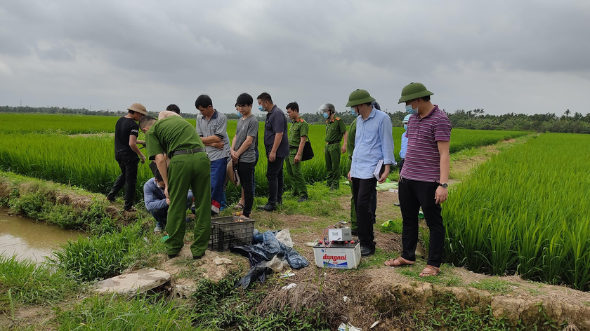 Lực lượng chức năng đang khám nghiệm hiện trường một vụ tử vong bởi người dân dùng dây điện để bẫy, diệt chuột ở ngoài ruộng lúa.