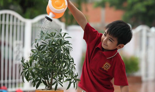 Dạy con giúp bố mẹ làm việc nhà như chăm sóc cây cối