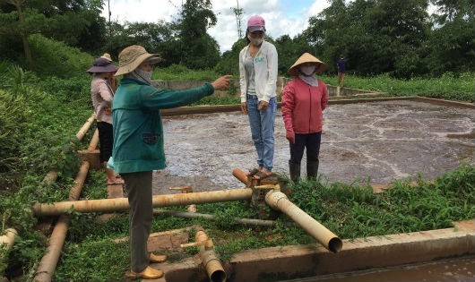 Hồ chứa nước thải của Công ty Phương Triều Đại