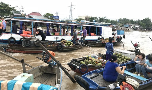 Chợ nổi Cái Răng mỗi năm một thưa thớt