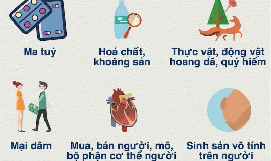 Quy định với những ngành nghề cấm đầu tư, kinh doanh