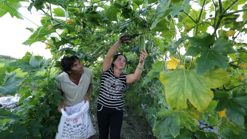 Nhờ tín dụng chính sách, gia đình anh Huỳnh Văn Sum cùng hàng vạn gia đình khác đã thoát nghèo bền vững, trở thành những tấm gương tốt trong cộng đồng