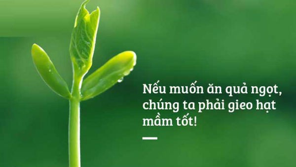 Hình minh họa