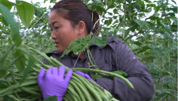 Hình ảnh trong phim tài liệu "Chông chênh". Ảnh VOV