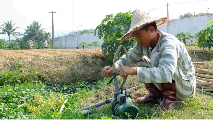 Đề xuất cho phép trại giam phối hợp doanh nghiệp tổ chức khu sản xuất, điểm lao động ngoài trại giam cho phạm nhân nhận được nhiều ý kiến tranh cãi. (Hình minh họa) 