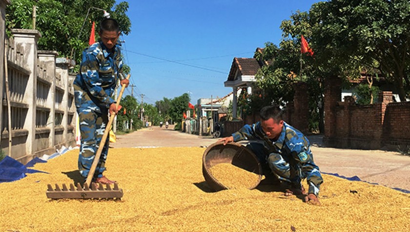 Bộ đội làm CTDV giúp dân phơi lúa.