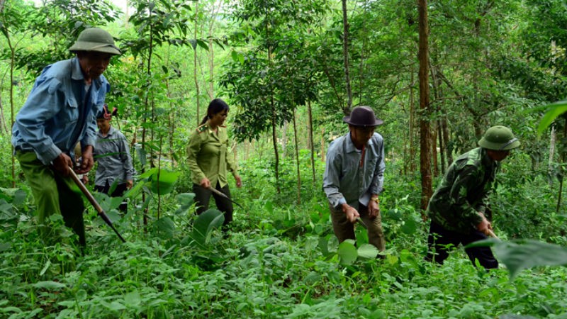 Hình minh họa