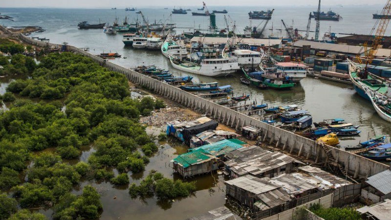 Đê chắn biển được xây nhằm giảm bớt tình trạng ngập lụt nghiêm trọng trong thành phố