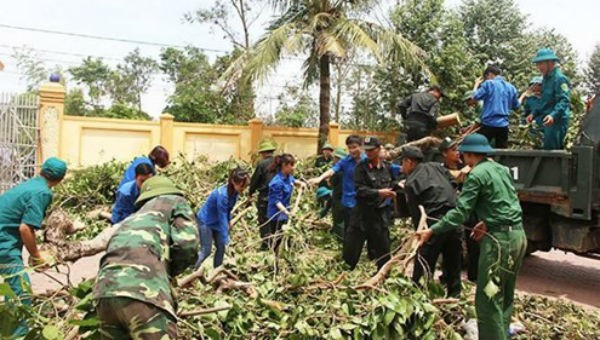 Hình minh họa