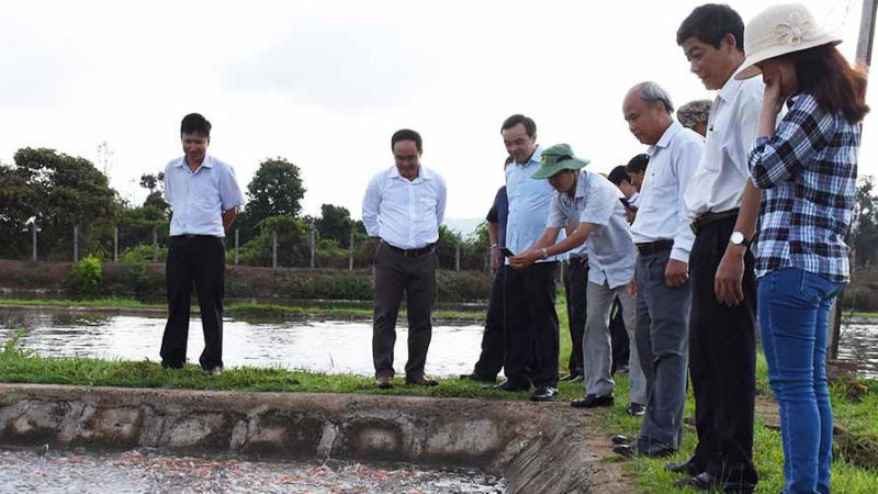 Đoàn giám sát của HĐND tỉnh kiểm tra thực tế dự án nuôi cá lăng đuôi đỏ tại Trung tâm Giống thủy sản Gia Lai