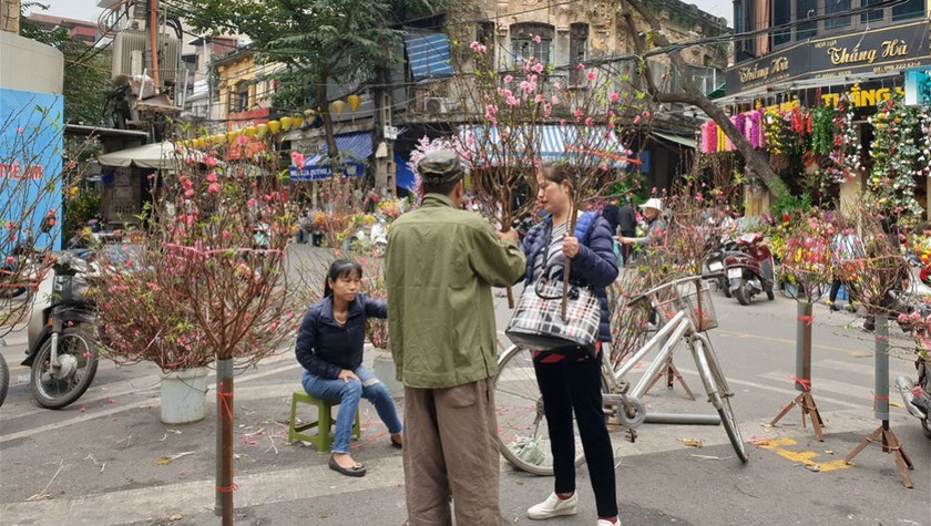 Người dân khu phố cổ mua đào trưng tết