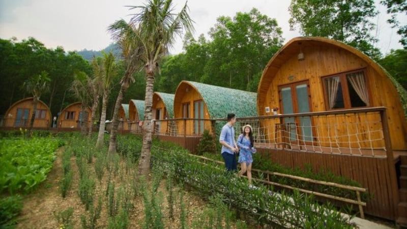 Farmstay có nhiều lợi ích hấp dẫn.