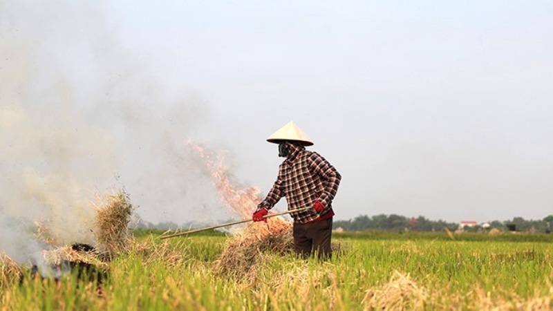 Đốt rơm rạ lợi bất cập hại, gây ảnh hưởng đến môi trường, sức khỏe người dân.