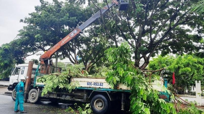 Quảng Nam phát quang cây cối phòng chống bão số 5. Ảnh Thanh Niên.