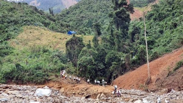 Mất rừng tự nhiên là nguyên nhân gây sạt lở nghiêm trọng.