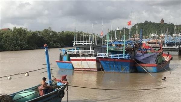 Chủ tàu thuyền không chấp hành quy định phòng tránh bão sẽ bị xử lý nghiêm.