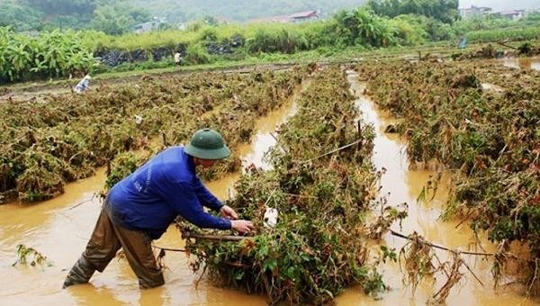 Thông tin khí hậu, khí tượng giúp các nhà quản lý định hướng sản xuất mùa vụ phù hợp.