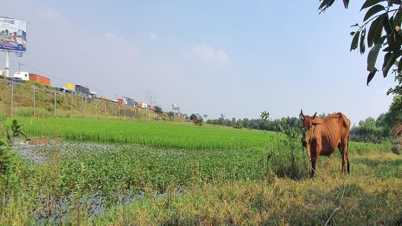 Một góc dự án Minh Thành.