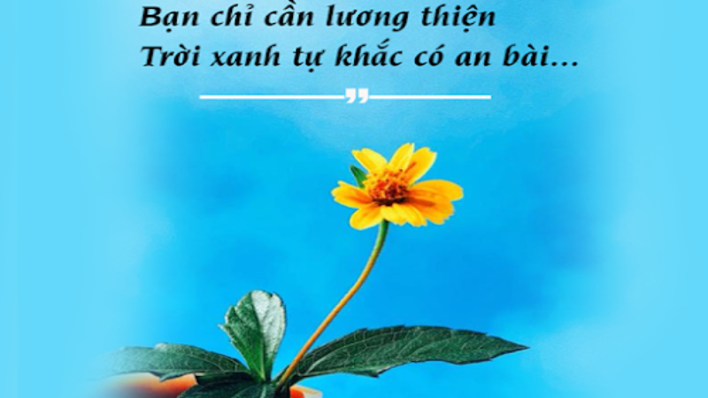 Số phận hình thành từ nhân duyên của mỗi người.