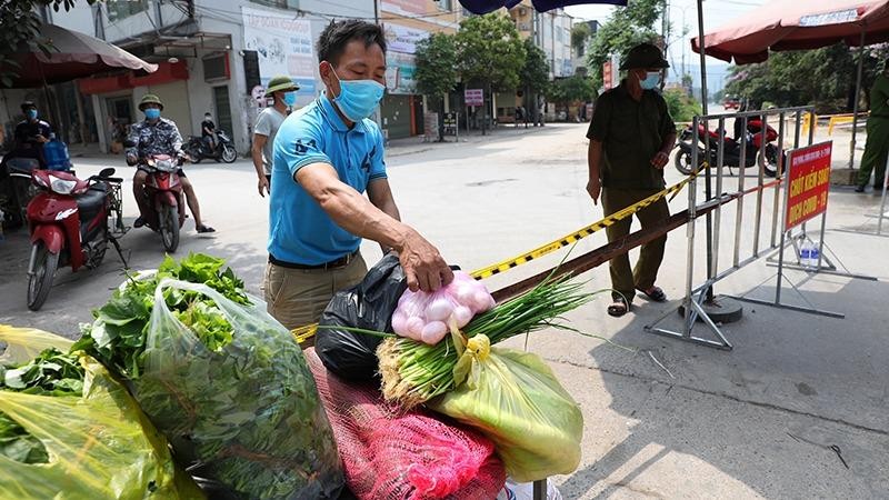 Cung cấp rau xanh cho khu vực cách ly y tế tại thôn My Điền, thị trấn Nếnh, huyện Việt Yên, tỉnh Bắc Giang. 