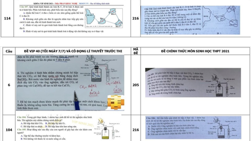 Một vài sự “trùng hợp” giữa nội dung ôn luyện của thầy Nghệ và đề thi chính thức môn Sinh học.