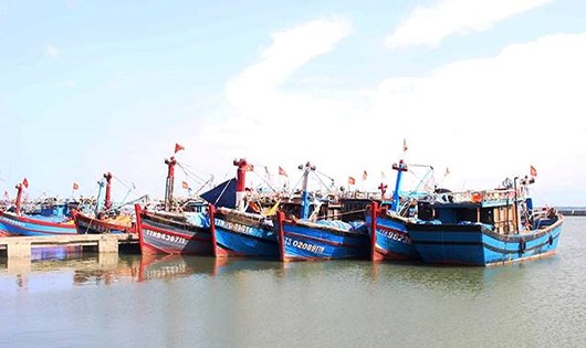 Hơn 16 tỷ đồng hỗ trợ tàu cá tham gia hoạt động thủy sản trên các vùng biển xa