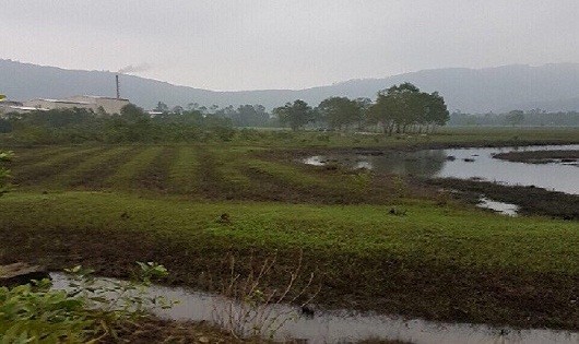 Một trong những lô đất mà nguyên Chủ tịch UBND xã Lộc Tiến đã "phù phép" cho người thân (ảnh L. Công)