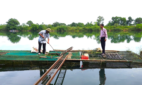 Từ nguồn vốn vay tại NHCSXH thị xã Hương Trà, nhiều hộ dân đã đầu tư sản xuất, phát triển các mô hình chăn nuôi, trồng trọt mang lại hiệu quả kinh tế cao.