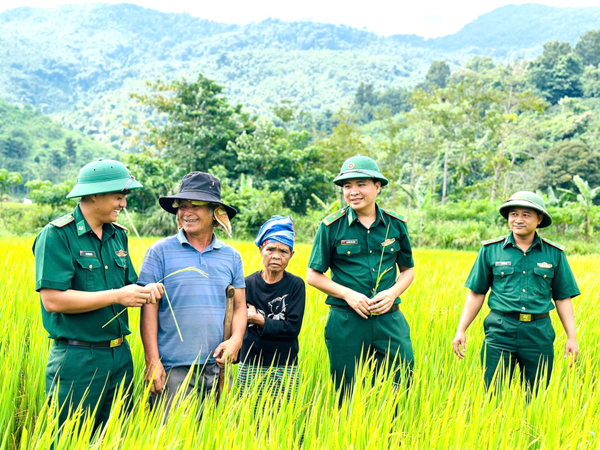 Nhờ giống lúa mới cùng với sự hướng dẫn tận tình về kỹ thuật canh tác của đảng viên Đồn Biên phòng Hướng Phùng, hơn 20 sào ruộng của ông Hồ Bồng những năm qua đã mang lại năng suất cao.