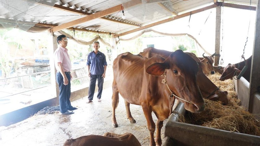 Tín dụng chính sách đồng hành cùng người dân Tiền Giang khôi phục kinh tế sau dịch Covid-19