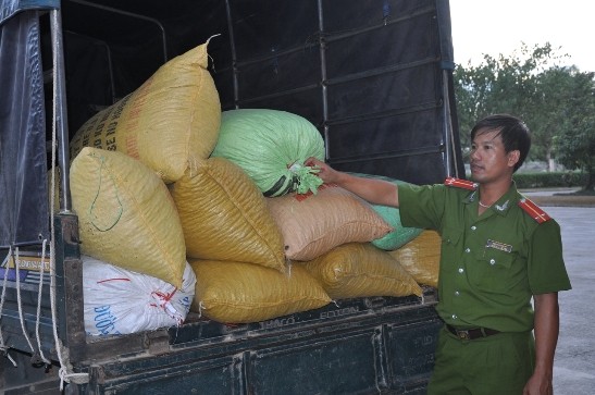 Quảng Nam: Bắt vụ mua bán lâm sản trái phép