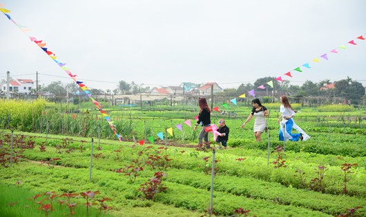 Hội An là nơi diễn ra lễ đón vị khách du lịch quốc tế thứ 3,8 triệu đến Quảng Nam trong năm 2018