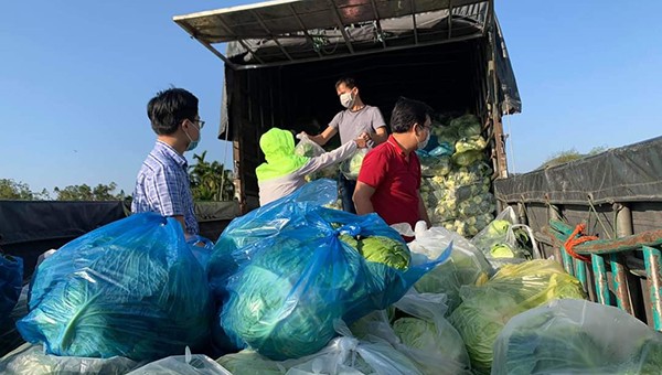 Người Đà Nẵng nườm nượp kéo nhau mua nông sản "giải cứu" giúp nông dân Hải Dương