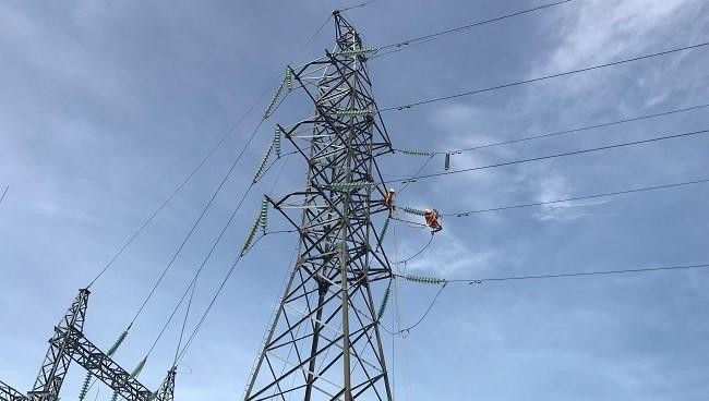 Thi công lắp đặt chống sét van tại vị trí 101/3 ĐZ 110kV 172/Bình Nguyên - 171/Tịnh Phong.
