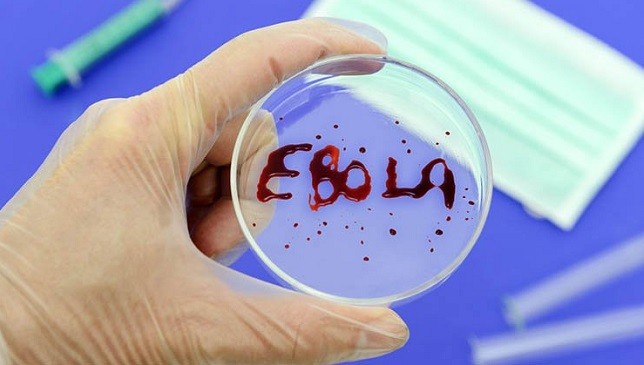 Thử nghiệm thành công thuốc điều trị Ebola trên khỉ đuôi ngắn