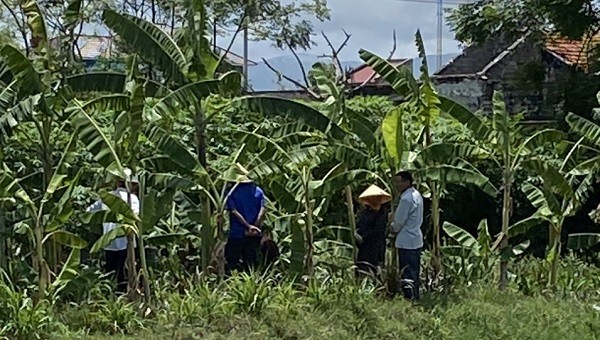 Không thấy cháu đâu, người thân tá hoả đi tìm kiếm.