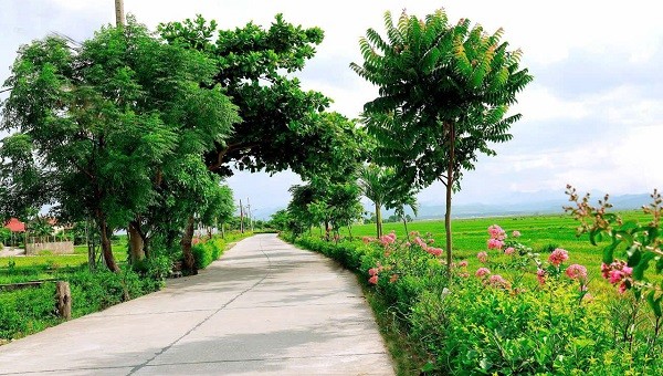 Nét thanh bình ở vùng quê đáng sống.