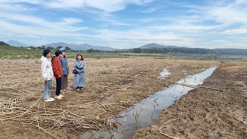 Hiện trường khu vực bán ngập nơi xảy ra vụ đuối nước thương tâm. 