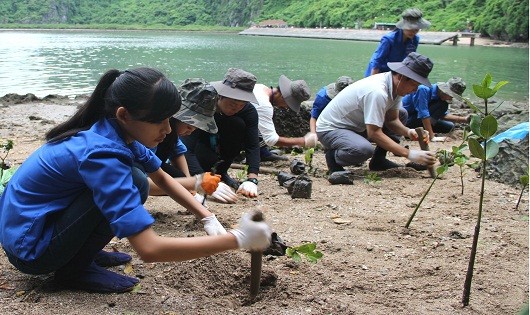 Nghịch cảnh "khôn nhà" hại giống nòi