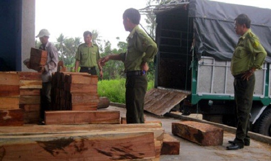 Lâm tặc hoành hành vùng biên Kon Tum