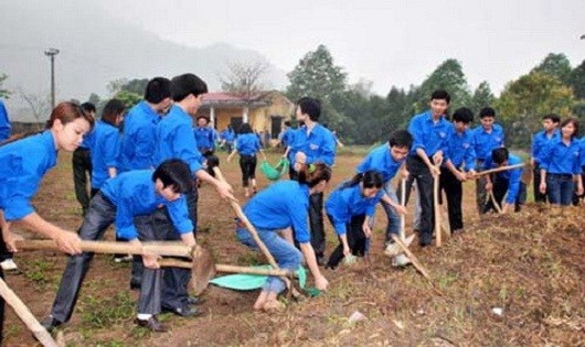 Nhiều điển hình thanh niên học tập và làm theo tấm gương đạo đức Hồ Chí Minh