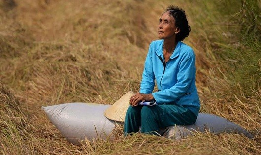 Lưu lượng nước sông Mê Kông ngày càng cạn dần do thượng nguồn khai thác quá mức, ĐBSCL phải gánh chịu hậu quả (Ảnh: Nỗi thẫn thờ mất mùa/ Tuổi trẻ)    