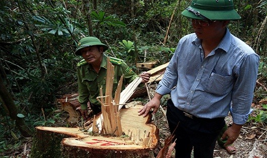 Tỉnh Quảng Nam phân công Phó chủ tịch Lê Trí Thanh trực tiếp chỉ đạo vụ việc. Ảnh: VNE