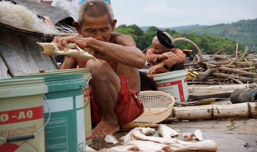 Vợ chồng ông Kính đau đớn vớt lồng cá chết sạch đã được họ ông tâm huyết chăn nuôi.